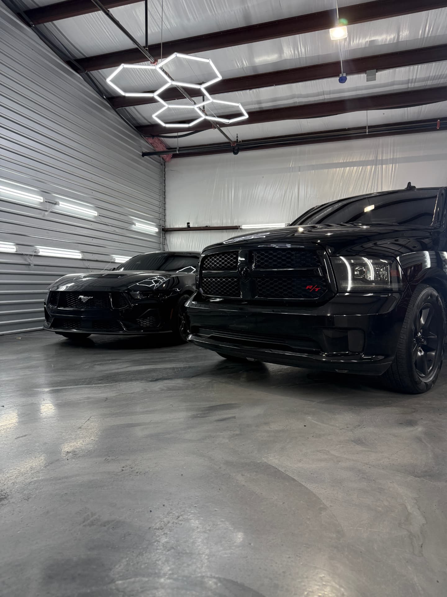 Ram and Mustang · Blacked-out tint